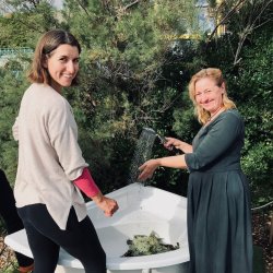 International Bath Academy - Leaf Whisking and Nature Rituals Level 1 - 3 Day Cultural Immersion & Training