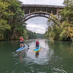 2 people on paddleboards, 1 standing and 1 kneeling paddle towards a bridge. Both are wearing P-F-Ds (lifejackets)