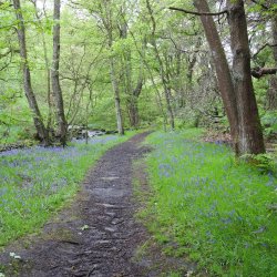 Volunteer Work Day: Wyming Brook