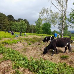 Volunteer Work Day: Greno Woods