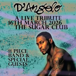 D'Angelo A Live Tribute
