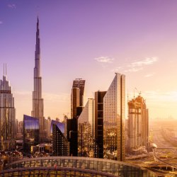 MENA Employment Summit