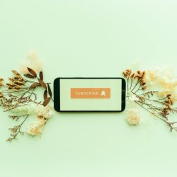 Стандартная подписка арт-клуба Frame на год