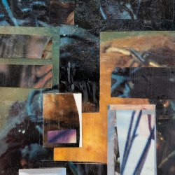 Exhibition Preview- David Steans: Paperhouse