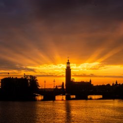 Aria Dinner Club | Stockholm