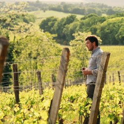 Masterclass Château Montus des vins entre héritage, puissance et raffinement