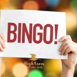 Bingo Night
