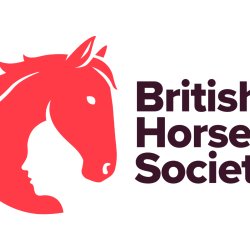 BHS Initial Two Day First Aid Course