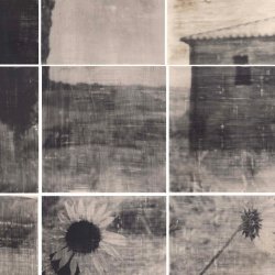 Liquid Emulsion w/ Jill Enfield