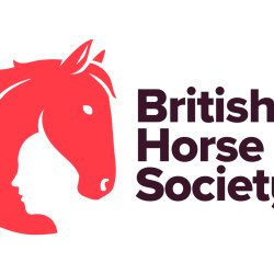 First Aid Training - Two Day Initial Course (Acrecliffe Equestrian Centre) Yorkshire
