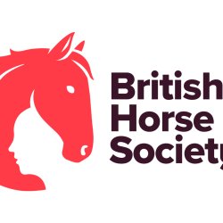 First Aid Training - Two Day Initial Course (Wellington Riding) South