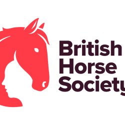 First Aid Training - Two Day Initial Course (Cheshire Riding School) North West