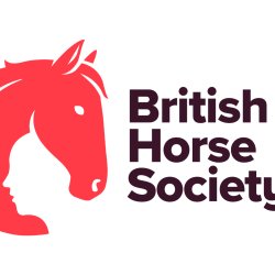 First Aid Training - Two Day Initial Course (Nelson Park Riding Centre) South East