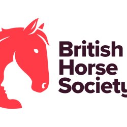 First Aid Training - One Day Refresher ( Murton Equestrian Centre) North