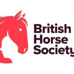 First Aid Training - One Day Refresher (Grove House Stables) Yorkshire