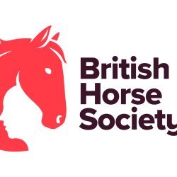 First Aid Training - One Day Refresher (Marros Riding Centre) Wales