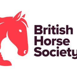First Aid Training - One Day Refresher (Raw Equine Equestrian Centre) Lincolnshire