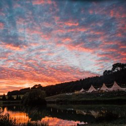 Summer Film Screenings at Hadsham Lake