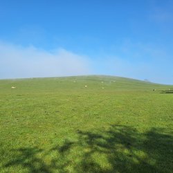 Guided Walk @ Barnoldswick