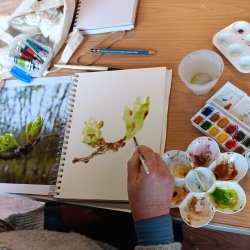Thames Chase Art Club