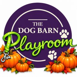 Pumpkin in the Playroom - Enrichment Room