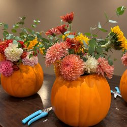 Pumpkin Fresh Flower Centerpiece Workshop