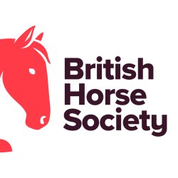 Virtual Safeguarding for Equestrians