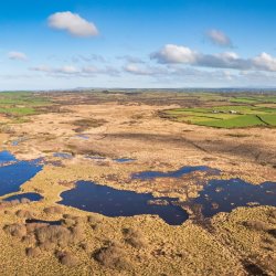 Aerial view of a bog landscape with large bog pools surrounded by agricultural fields