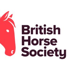 Virtual Safeguarding for Equestrians
