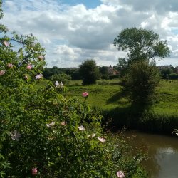 Woodhouse Washlands by Nabil Abbas