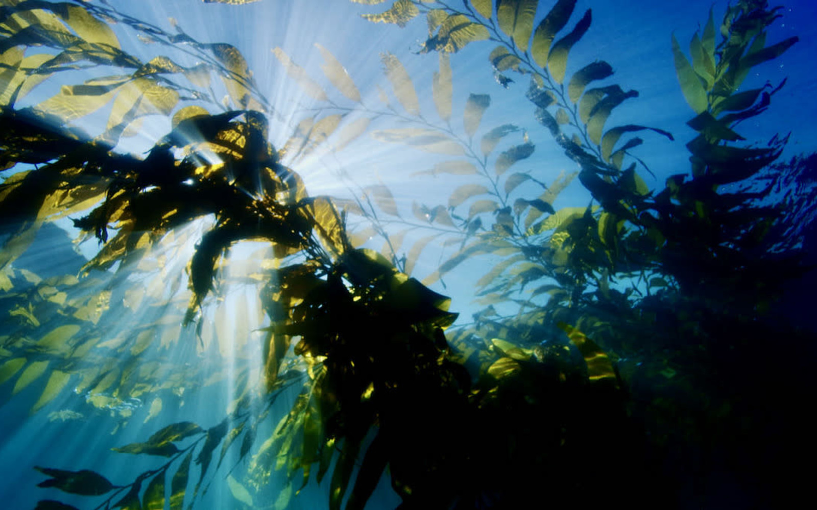 Atmospheric image