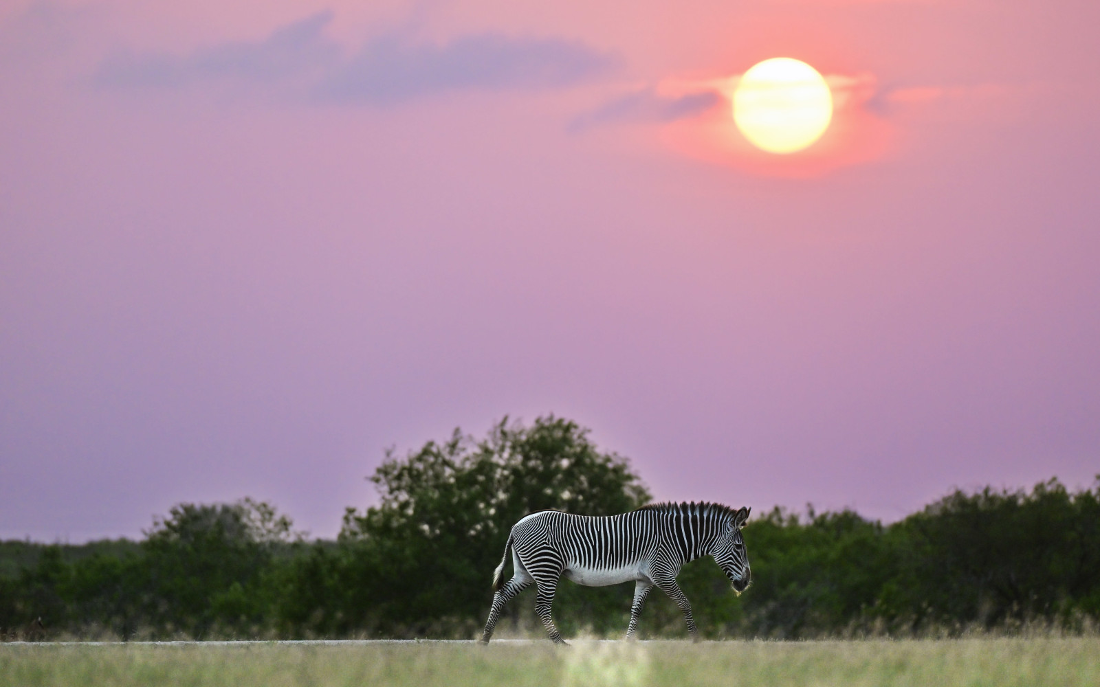 Atmospheric image