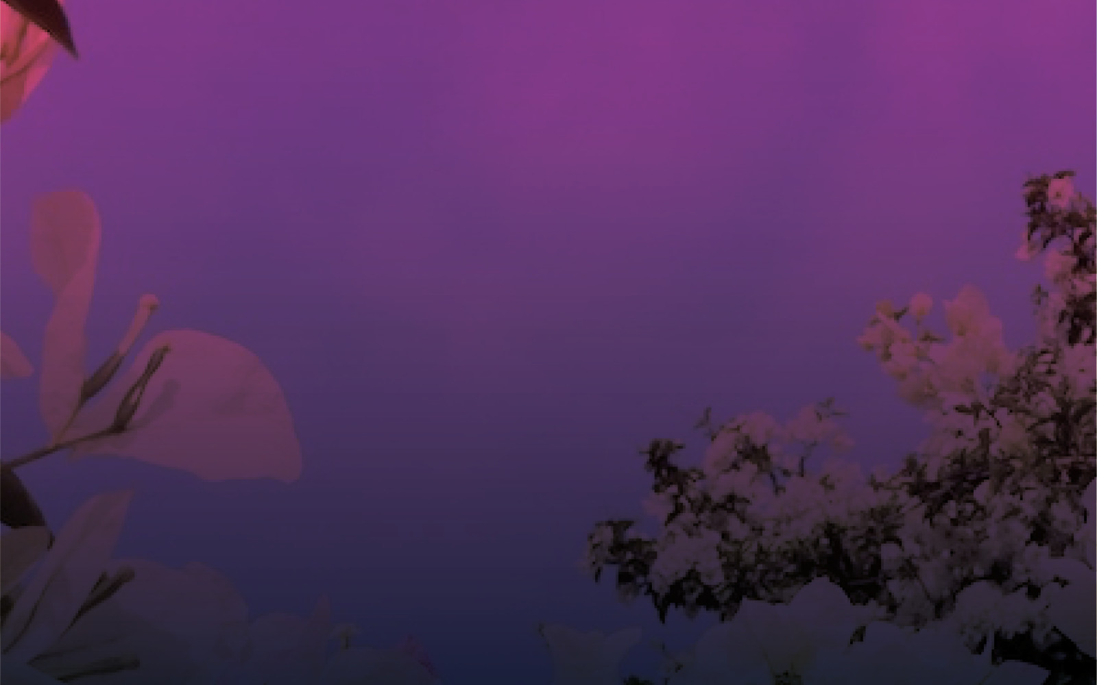 Atmospheric image