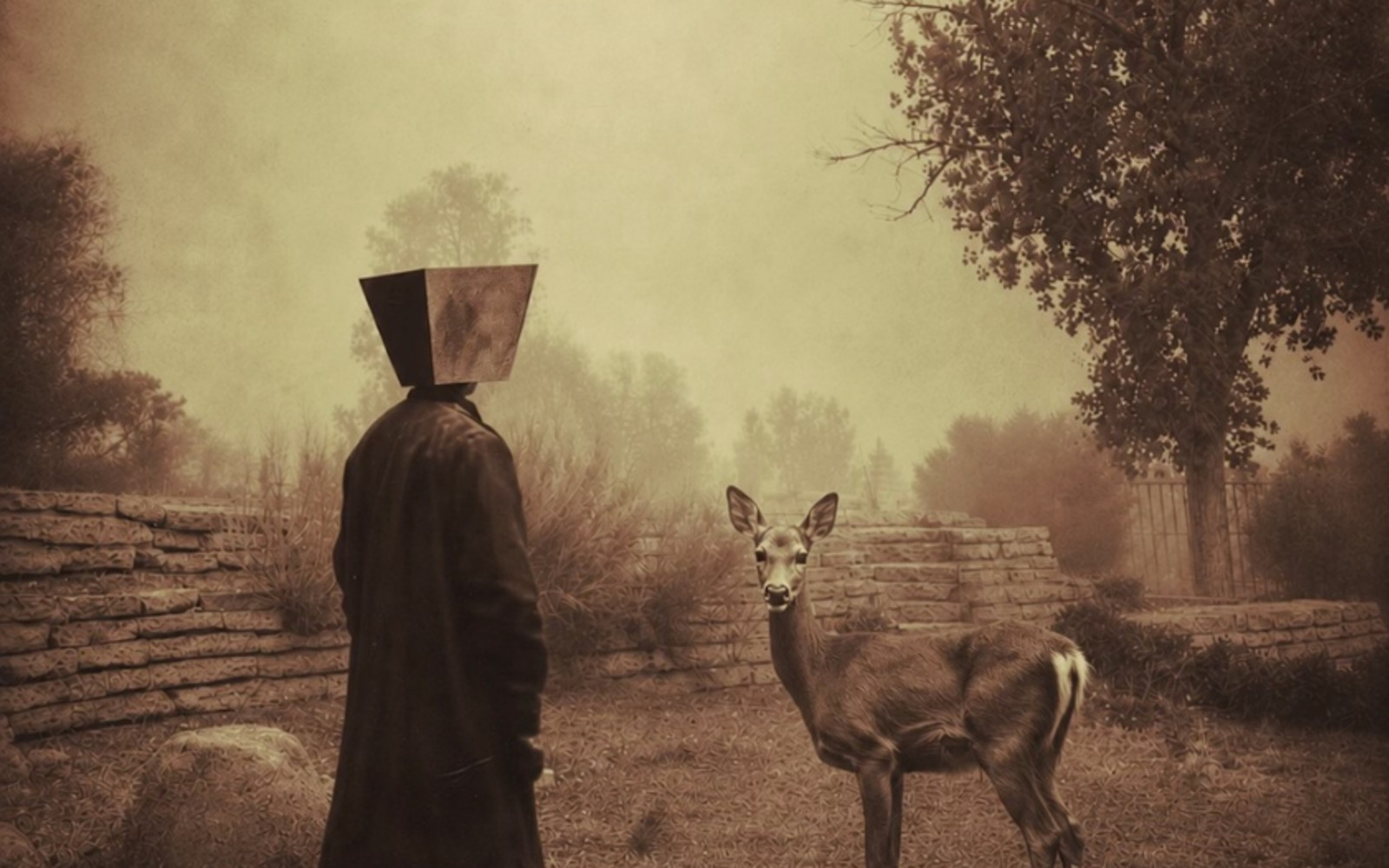 Atmospheric image