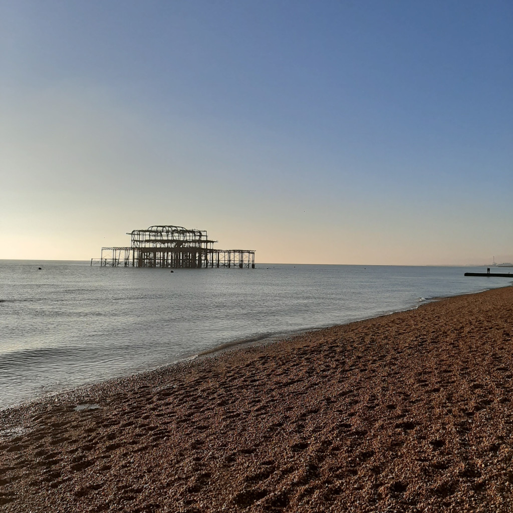 A picture of the West Pier from Brighton Beach.