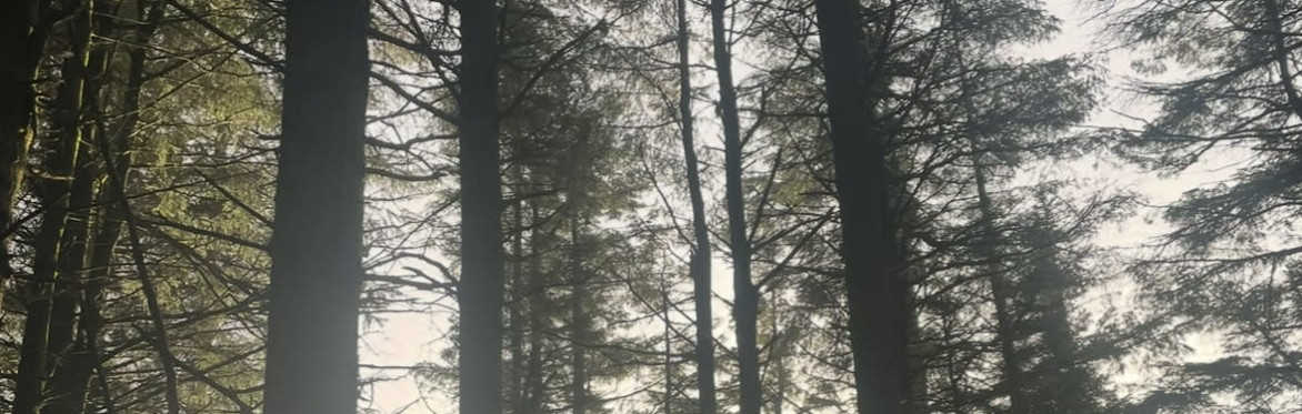 Atmospheric image