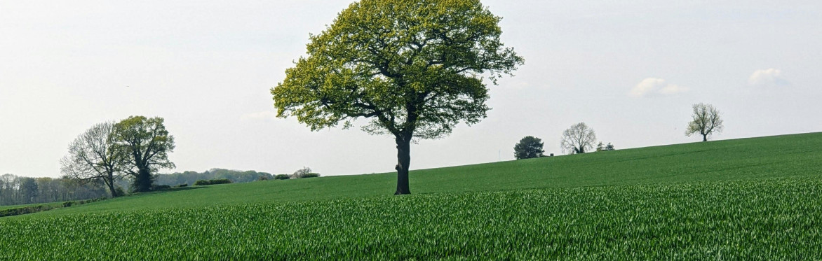 Atmospheric image
