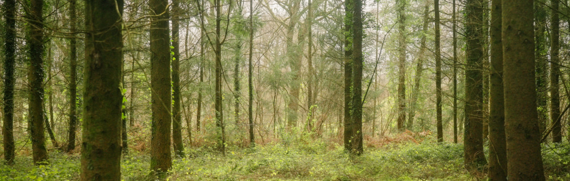 Atmospheric image
