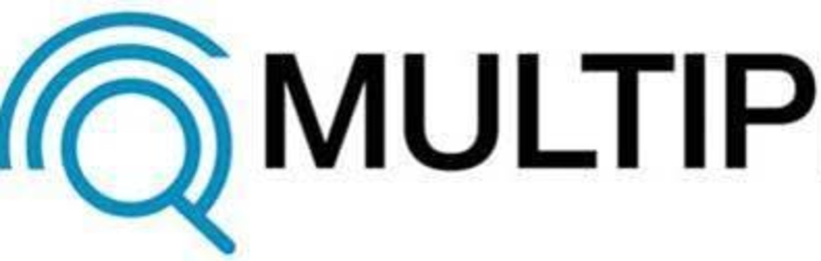 AI MULTIPLY