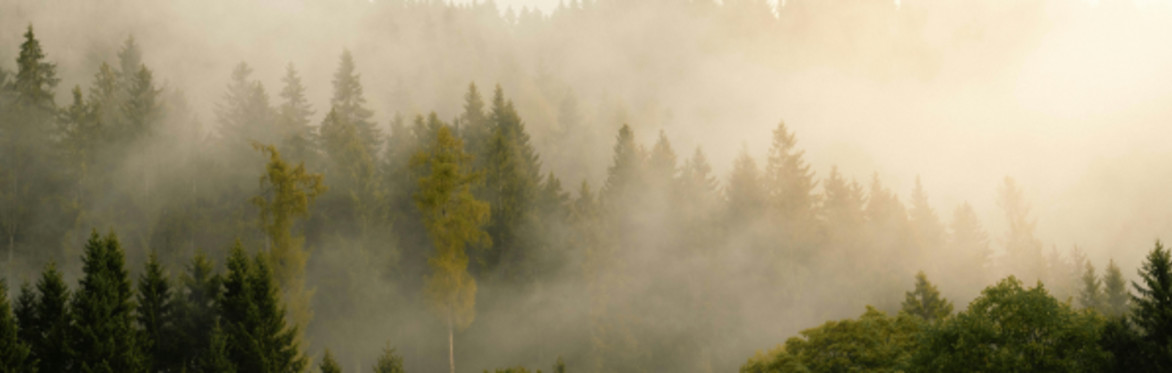 Atmospheric image