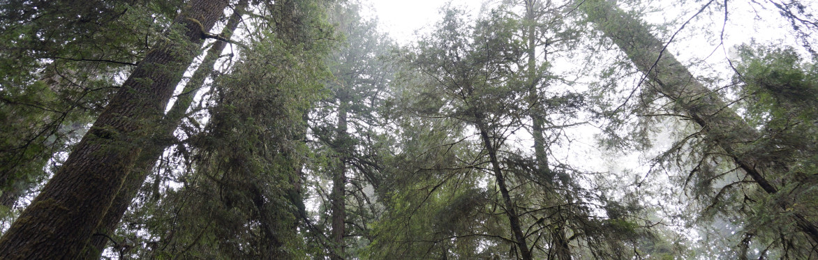 Atmospheric image
