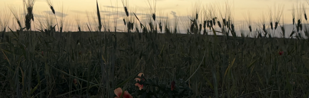 Atmospheric image