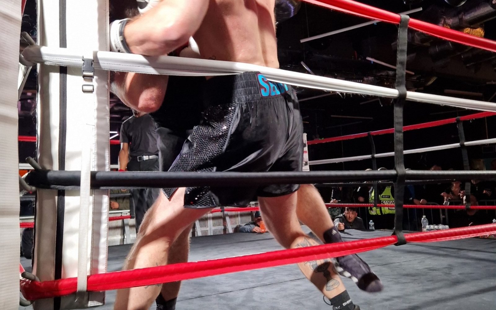 Britannia Fight Night