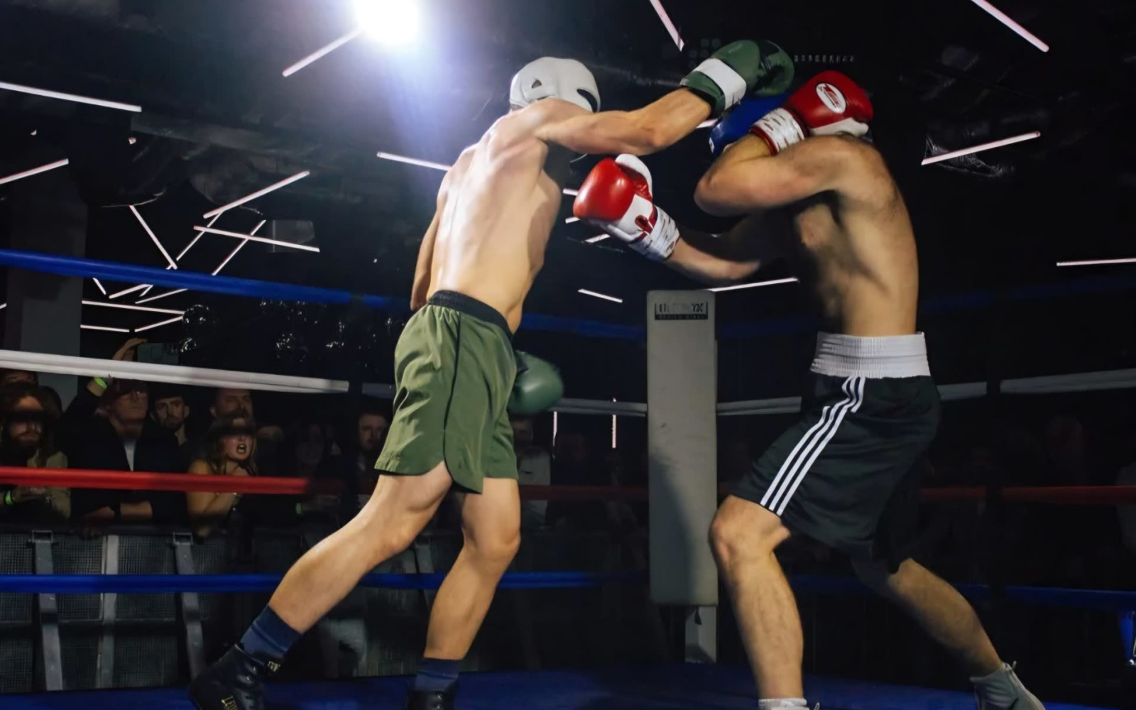 Britannia Fight Night