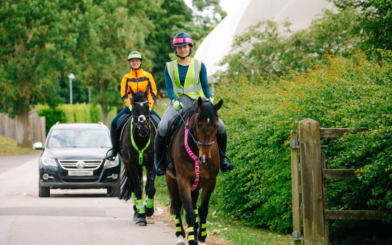 Safer Riders, Drivers, Horses