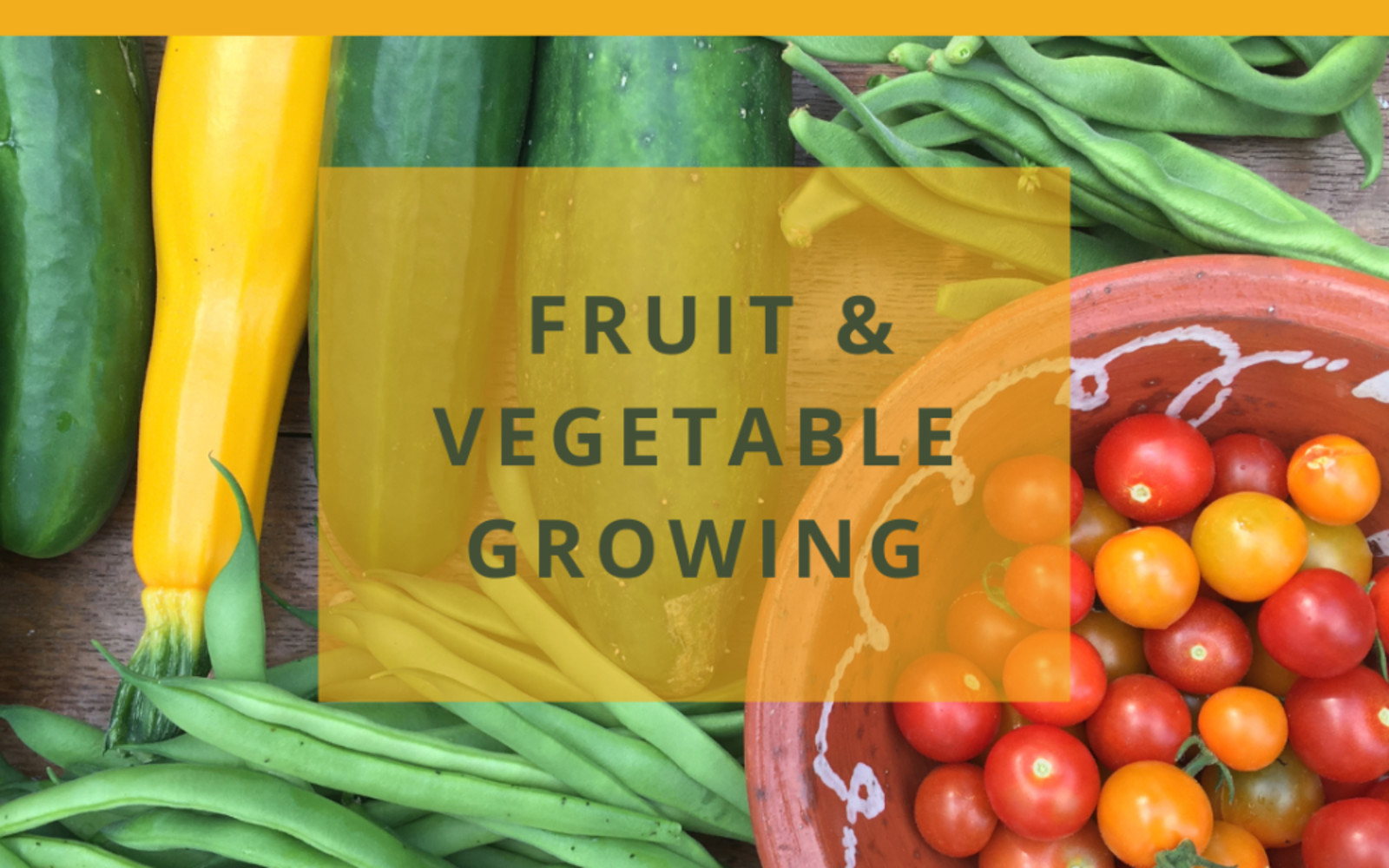 Low-maintenance Fruit & Vegetable growing - seasonal workshop