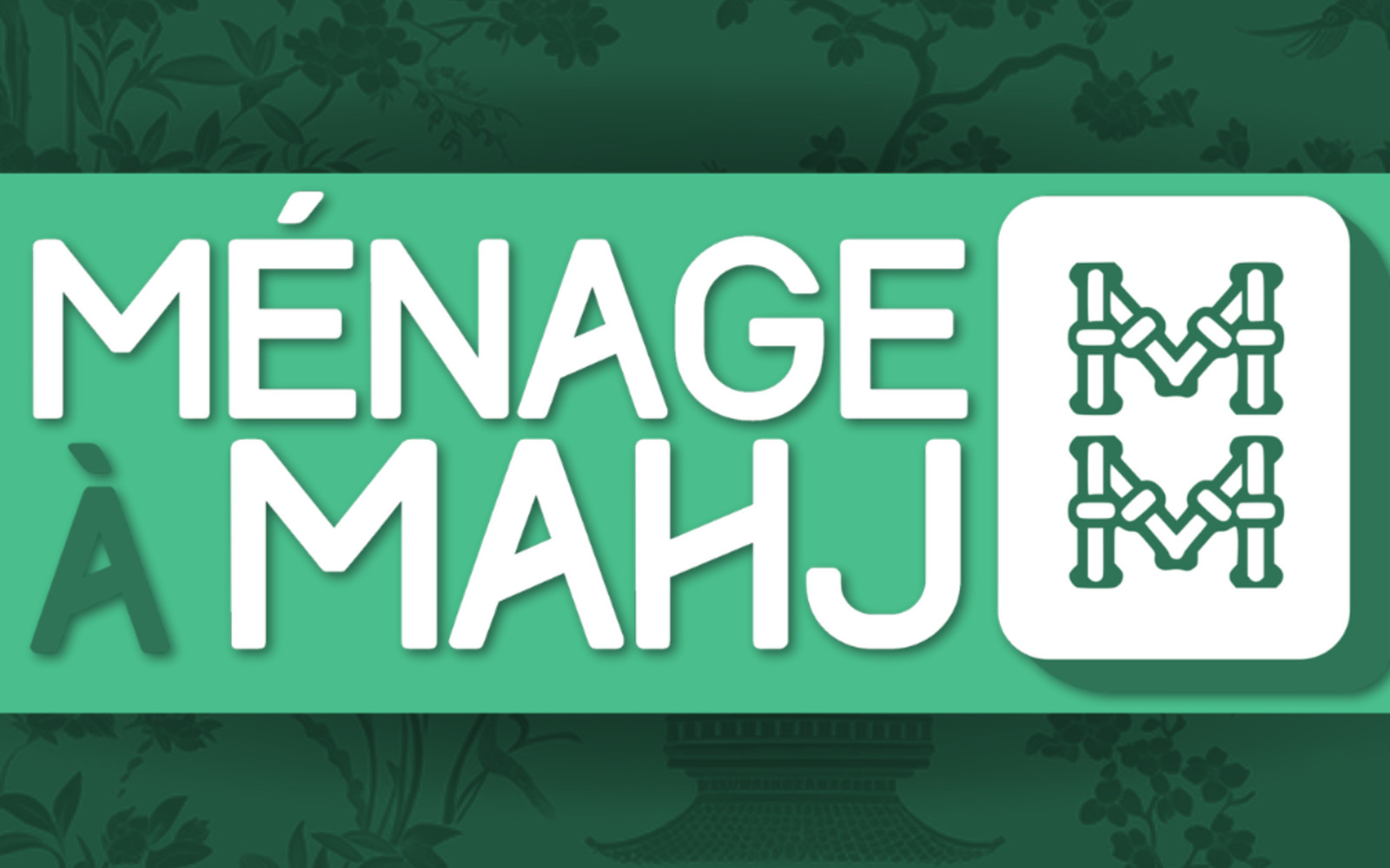 Learn Mahjong — individualized coaching in a comprehensive beginner class