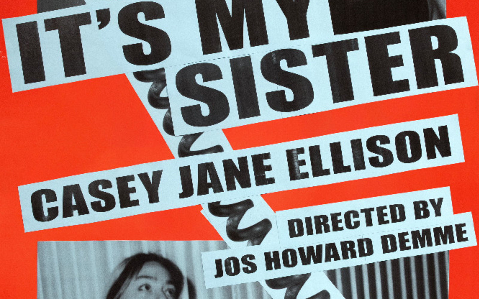 Casey Jane Ellison: IT'S MY SISTER
