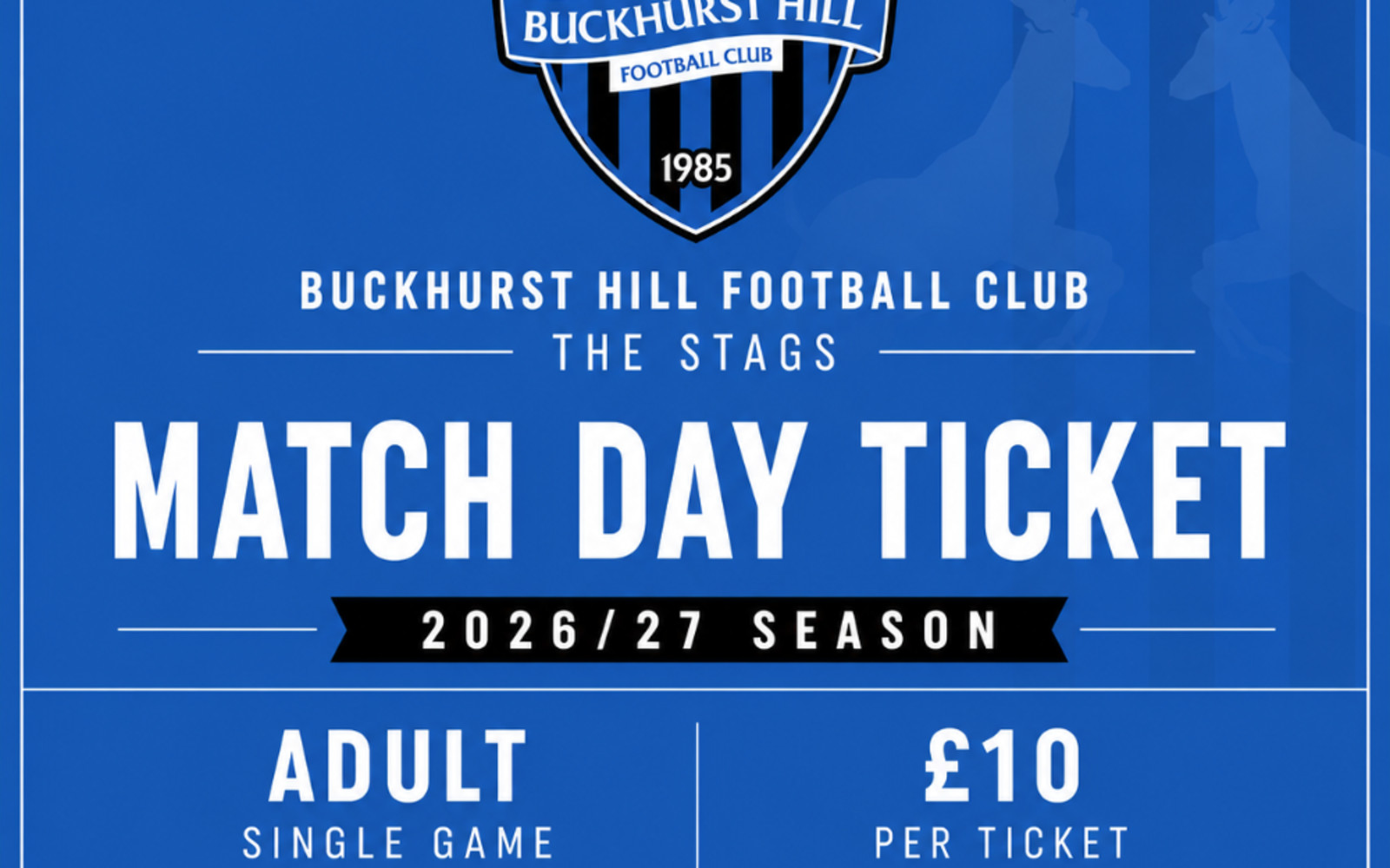 Buckhurst Hill FC vs Cambridge City