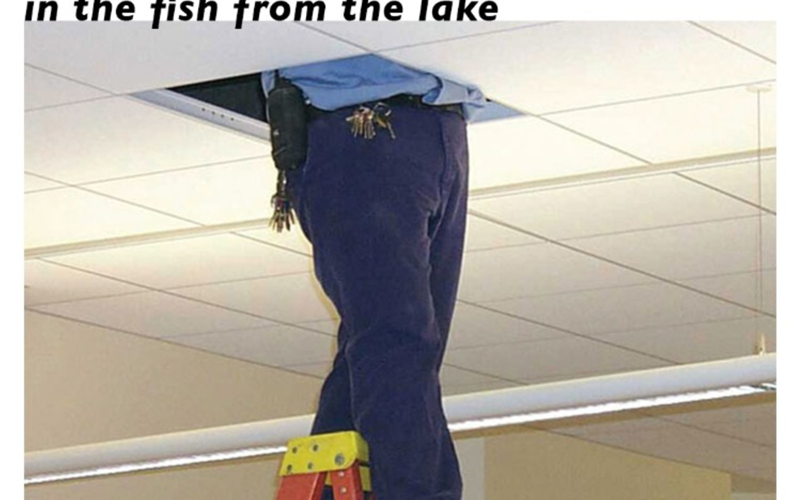 Hypha Frieze | Private View - the knot on the hook in the fish in the lake